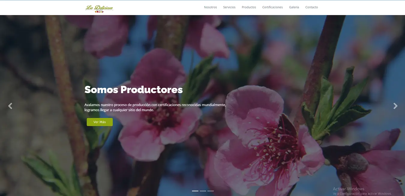 Diseño Sitios Web - La Deliciosa S.A