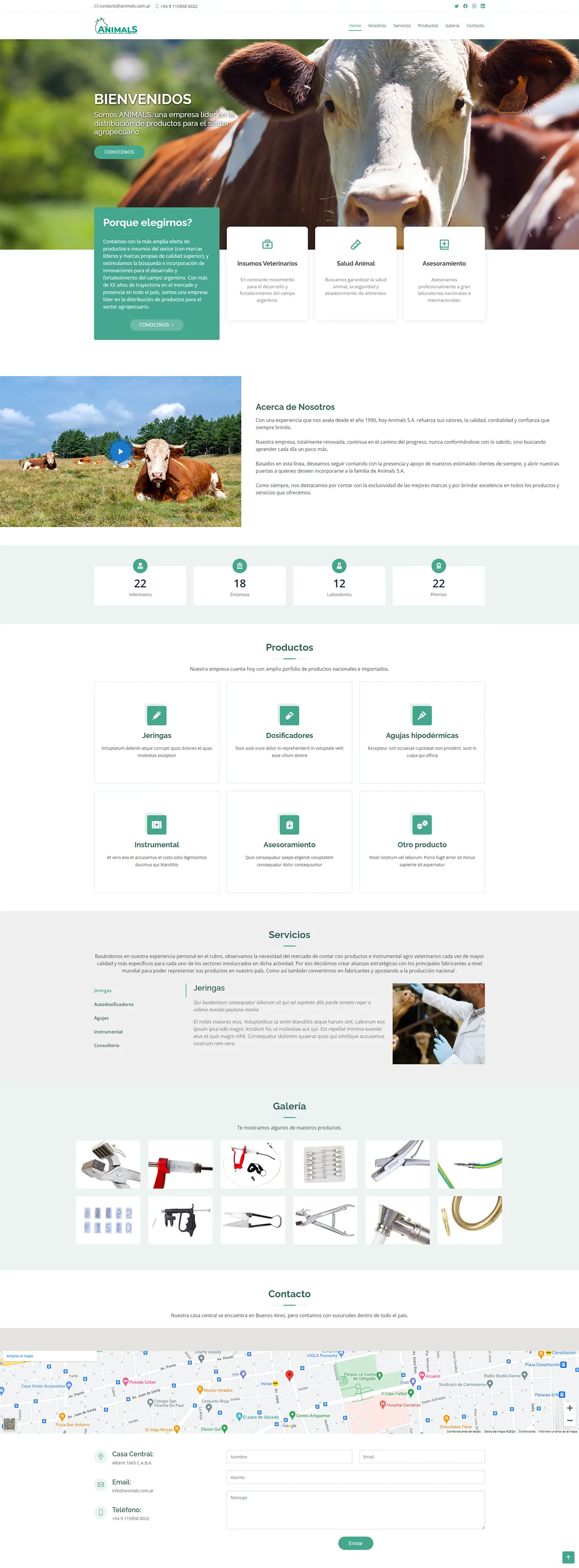 Diseño Sitios Web - Animals