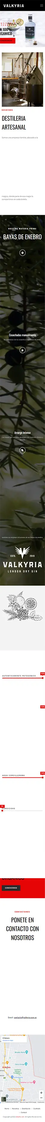 Diseño Sitios Web - Valkyria Gin