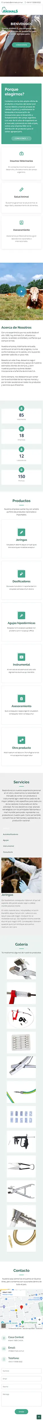 Diseño Sitios Web - Animals