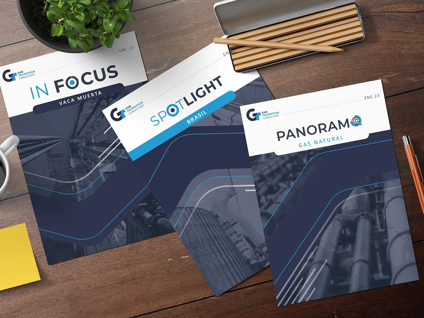 Catálogos de productos - GT Consultant - Informes