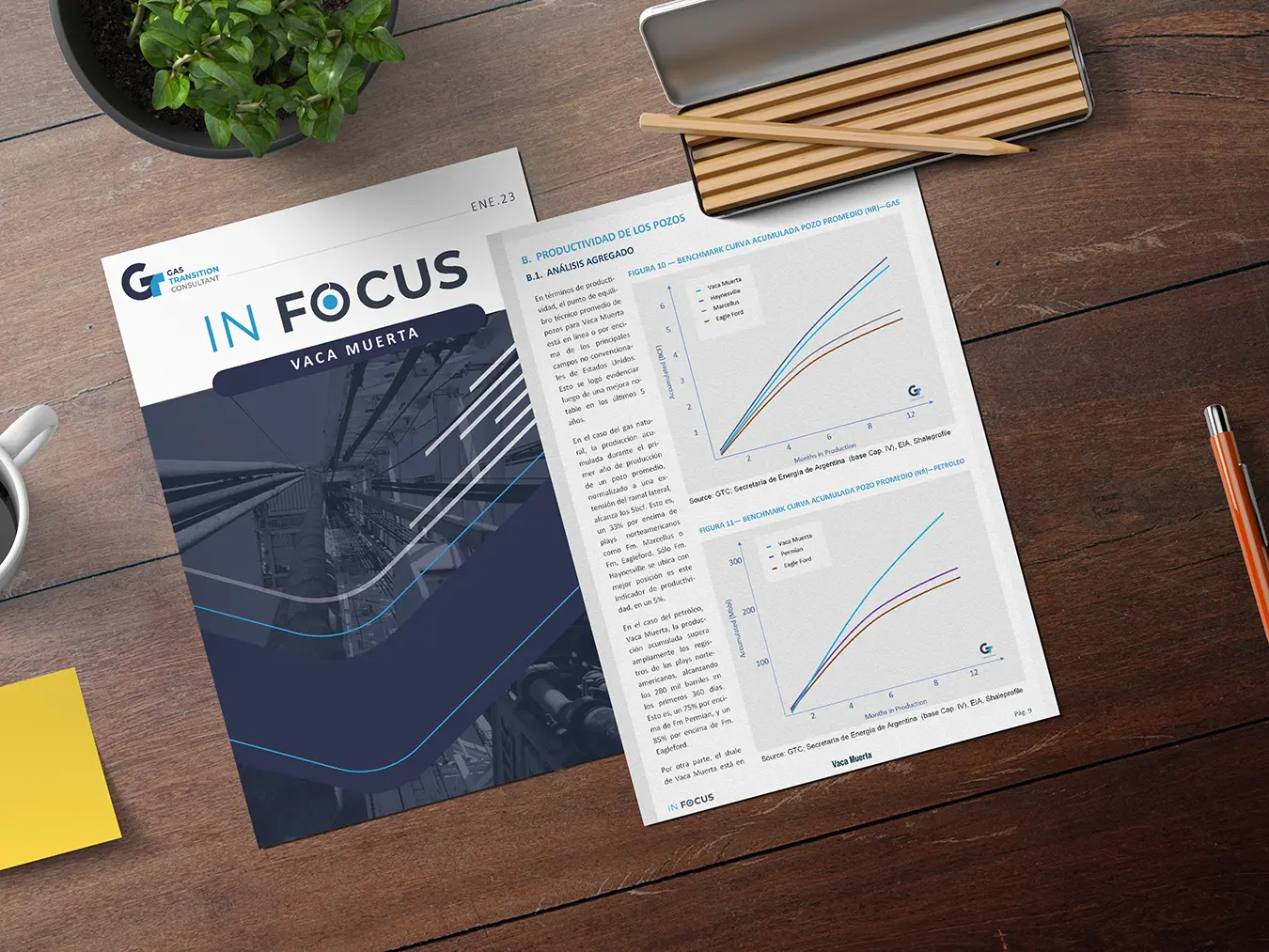 Catálogos de productos - GT Consultant - Informes