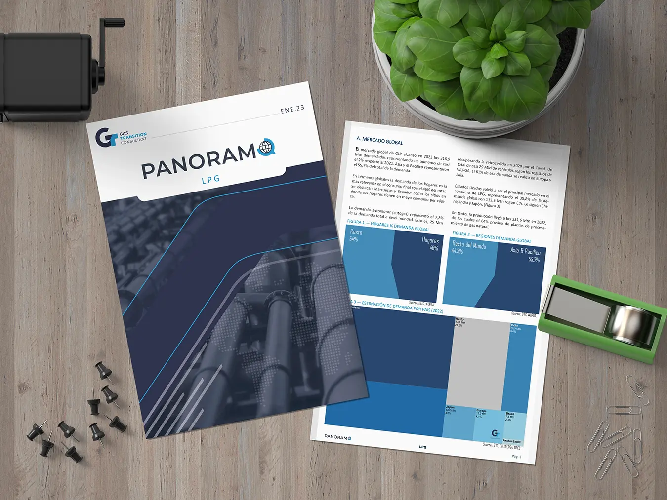 Catálogos de productos - GT Consultant - Informes