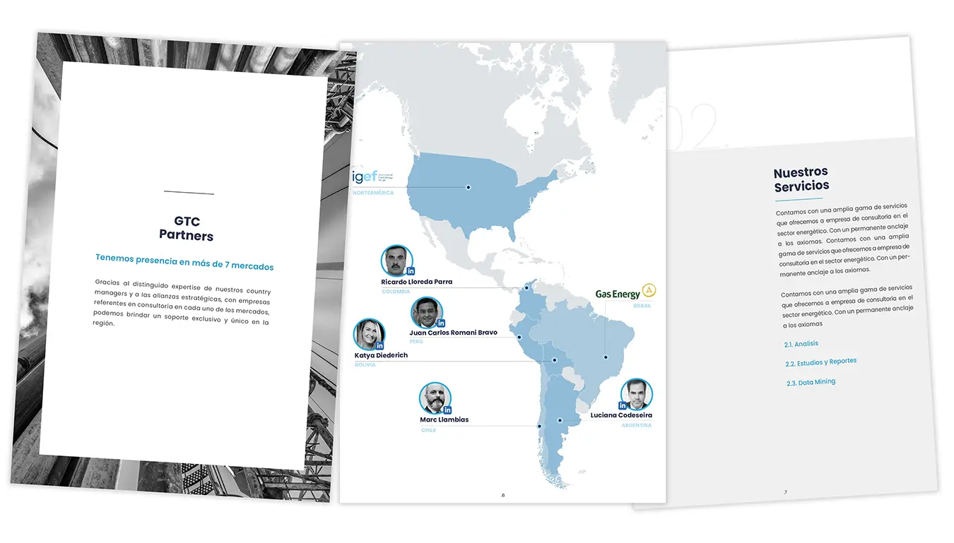 Brochure - GT Consultant - Brochure