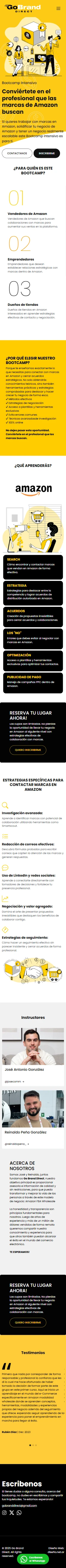 Diseño Landing Pages - GoBrand Direct