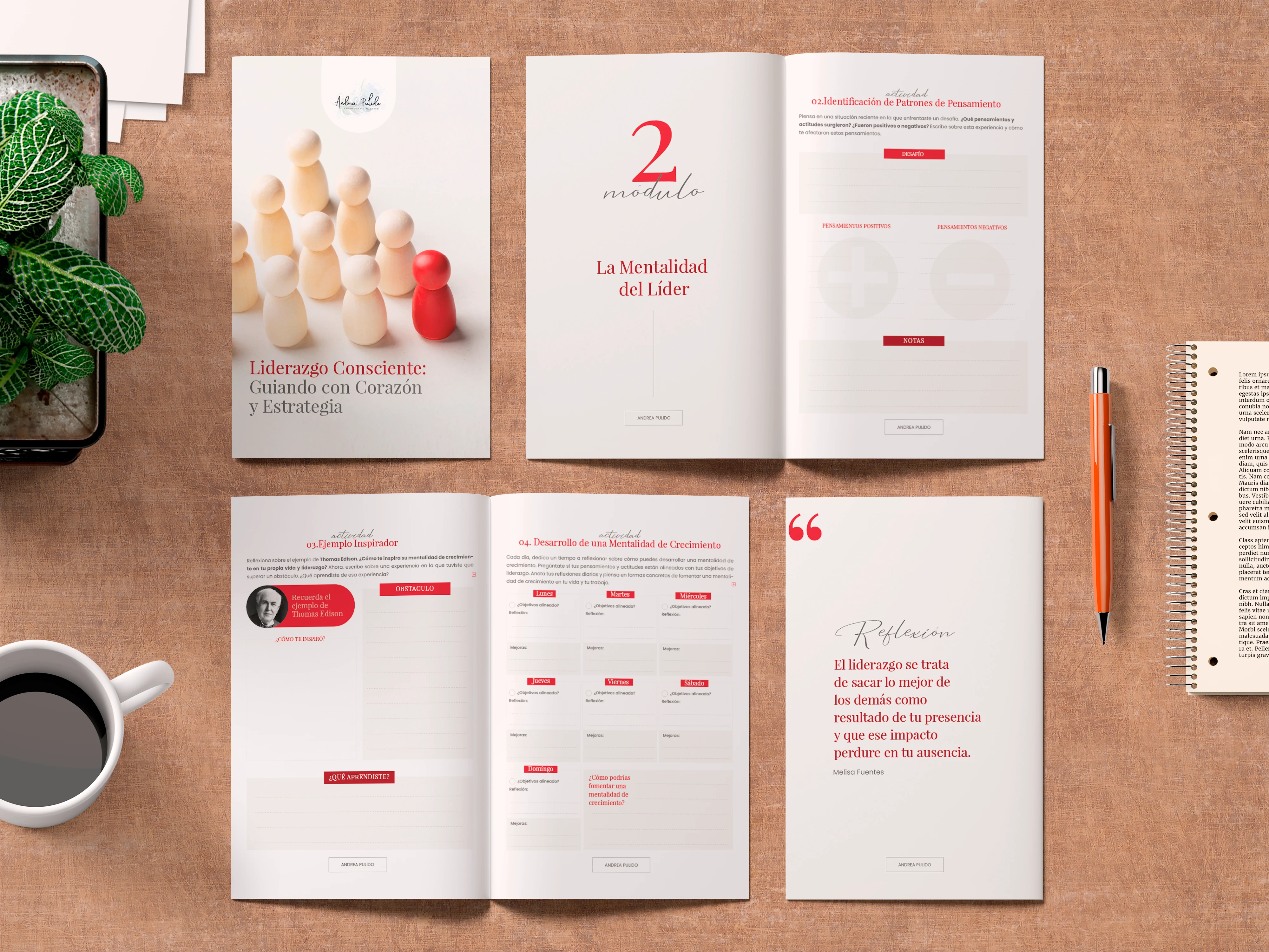 Catálogos de productos - Andrea Pulido