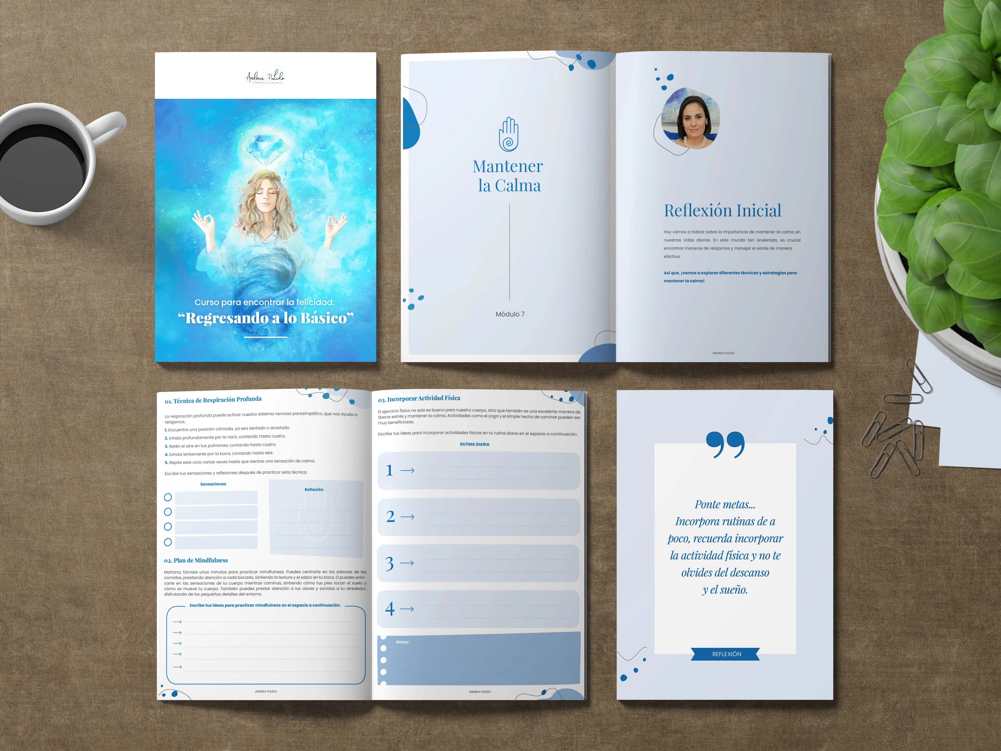 Catálogos de productos - Andrea Pulido