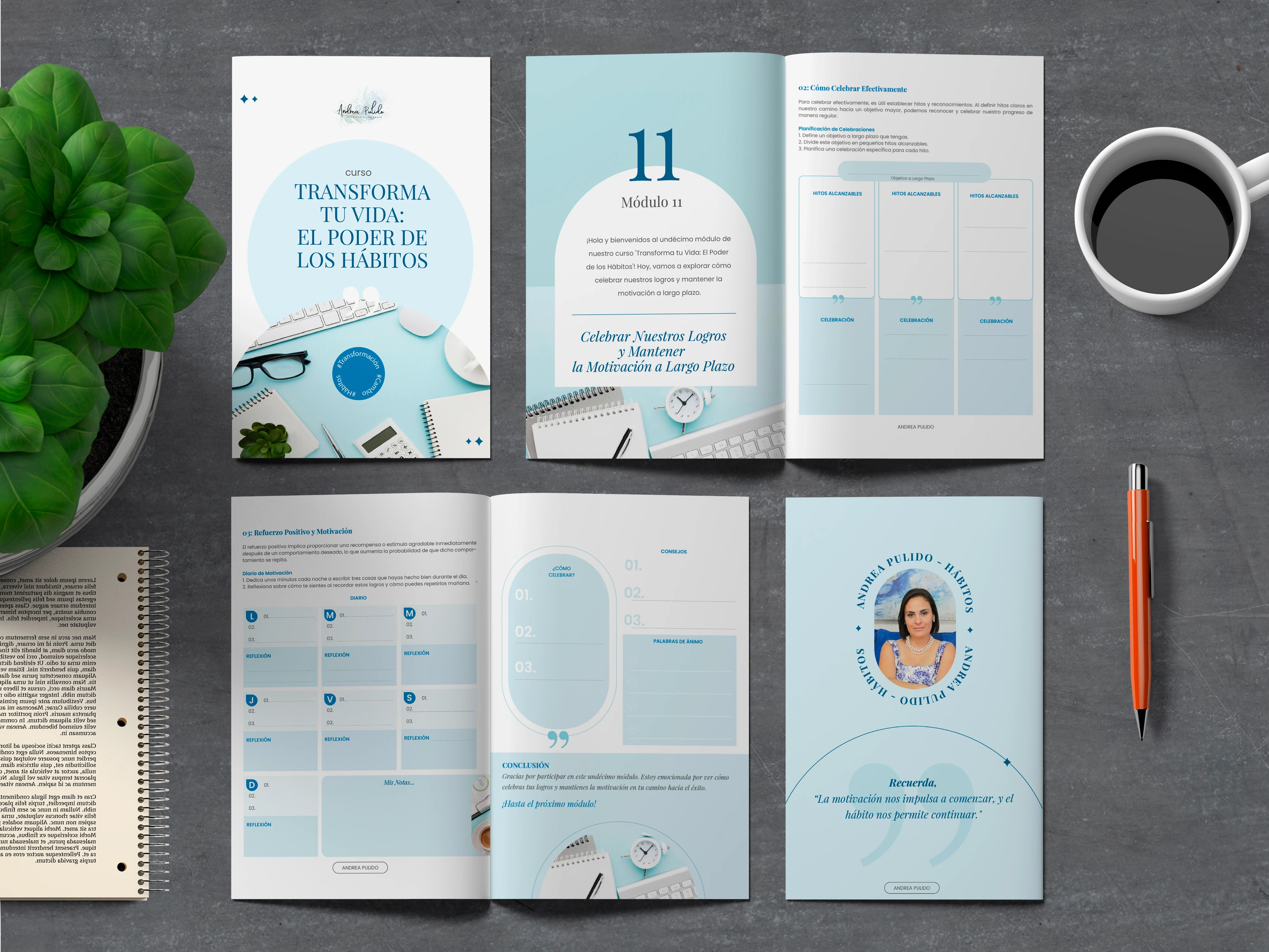 Catálogos de productos - Andrea Pulido