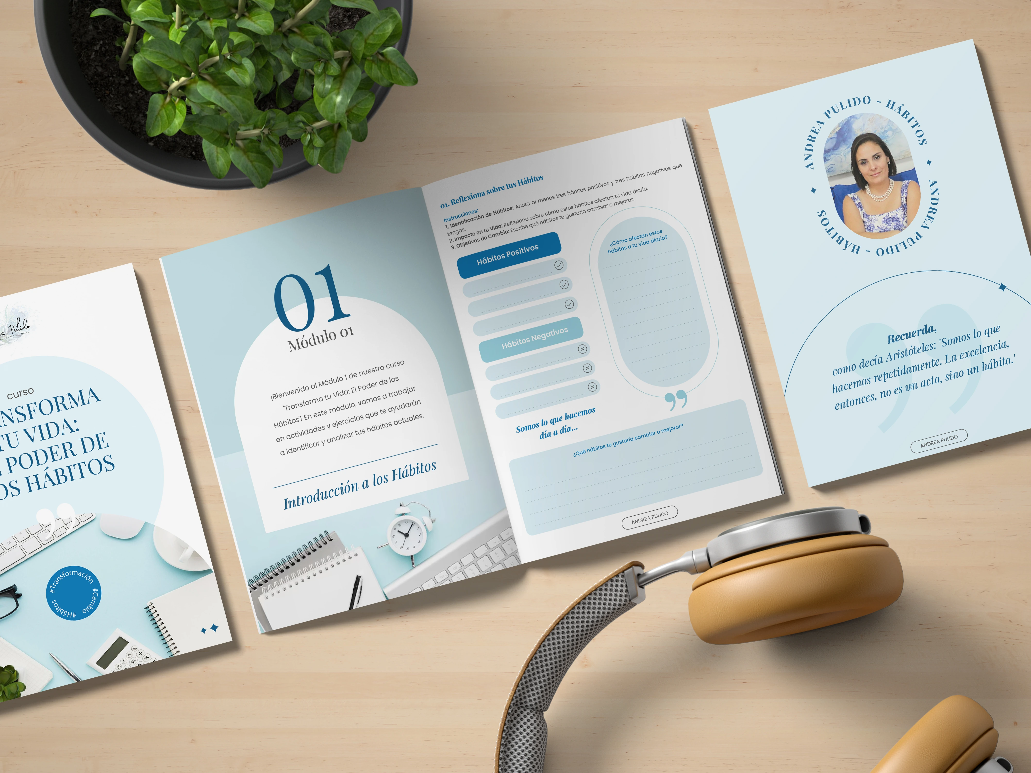 Catálogos de productos - Andrea Pulido