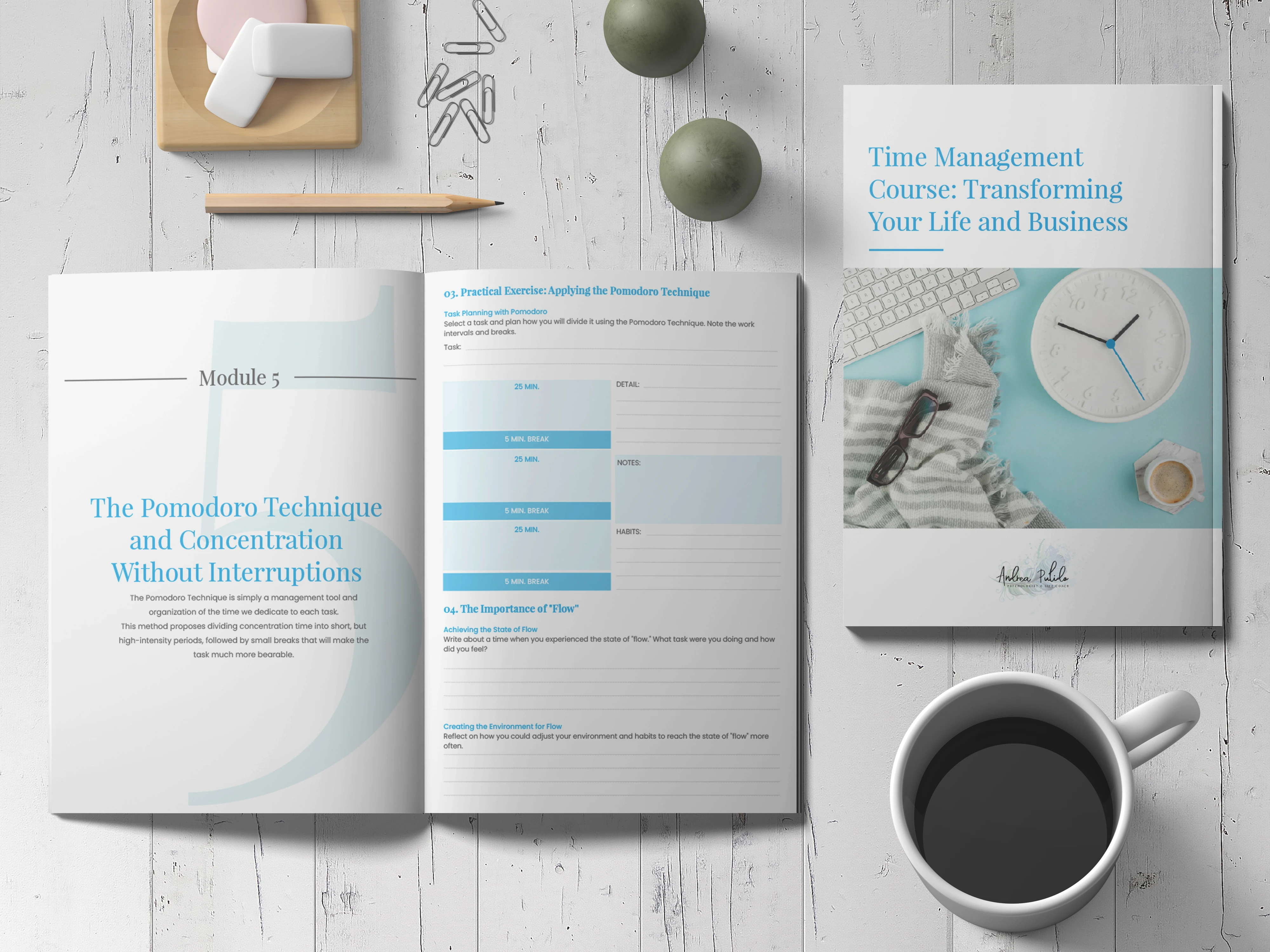 Catálogos de productos - Andrea Pulido