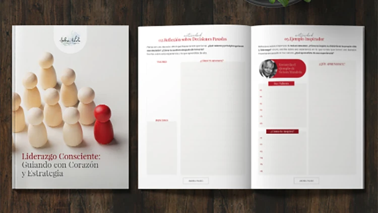 Catálogos de productos - Andrea Pulido