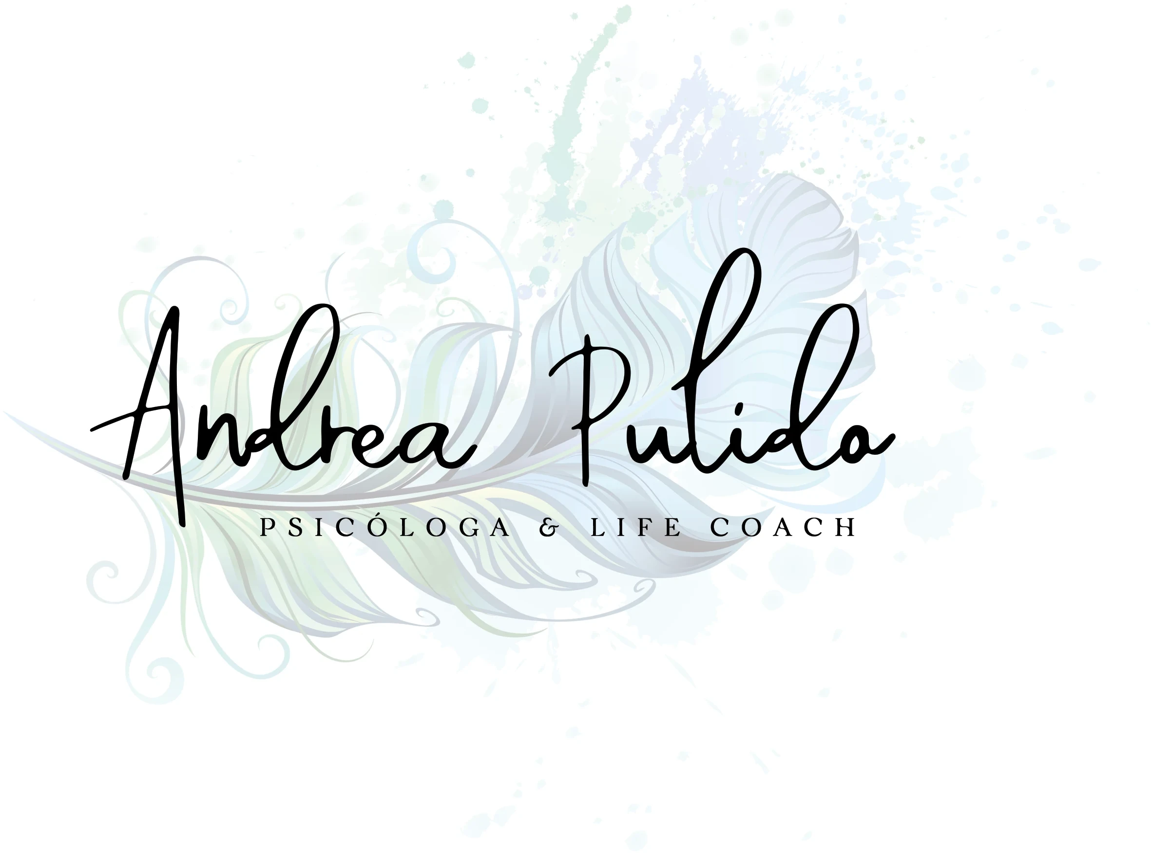 Diseño Redes - Andrea Pulido