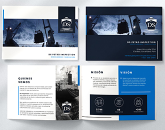 Brochure - DS Petro Inspection